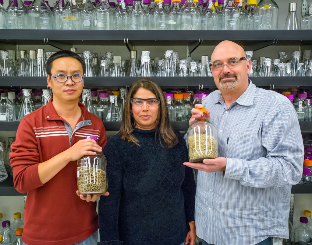 Jian Shi, Seema Singh and Blake Simmons of the Joint BioEnergy Institute (JBEI) - research on the successful use of ionic liquids to pre-treat mixed blends of different biofuel feedstocks.